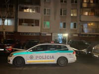 Tragédia v Michalovciach: Súvisí smrť štyroch ľudí s vraždou sestričky Eriky? Polícia vyvracia HOAXY