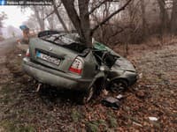 Tragické ráno na cestách: FOTO Vodičovi sa stal osudným šmyk, po náraze do stromu nemal šancu
