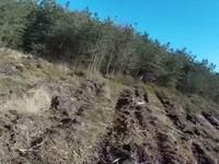 Lietajúci dron na VIDEU zachytil poriadne strašidelný úkaz: Pozrite, kto sa pohyboval v lese