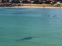 Hrozivé VIDEO Na pláži sa objavil žralok: Plavci nič netušili, od smrti ich delilo len pár metrov