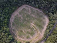 Záhadný kráter uprostred vinárstva vo Francúzsku vyše polstoročie miatol vedcov: Už vedia, čo sa stalo!