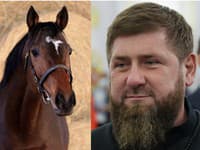 Čečenský vodca Kadyrov má hlavu v smútku: V susednom Česku mu ukradli obľúbeného koňa!