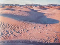 Poliaci náhodou narazili v púšti na neskutočný objav: Prepisuje doterajšie chápanie histórie