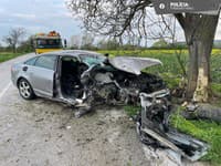 Auto totálne na šrot, vodič nafúkal! Ťažká nehoda pri Vrbovom: Spolujazdkyňu (†19) stála rana do stromu život