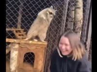 Medvedík v zoo vyvolal senzáciu: Pozrite, čo robí, dievčina vybuchla od smiechu! Ľudia sú zhrození