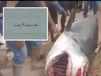 Horor v Hurghade! Žralok zabil dovolenkára pred očami priateľky: Zábery smrtiacieho útoku zachytili kamery