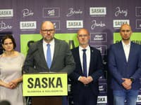 Slovensko má podľa SaS vďaka priemyslu lepšie predpoklady na vyšší rast