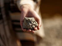 Muž tridsať rokov používal zvláštny kameň ako zarážku dverí: Vykľul sa z neho hotový poklad