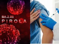 Nový variant koronavírusu PIROLA je reálnou hrozbou! V Británii už zavádzajú posilňujúce vakcíny