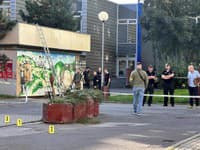 Hamran informoval o streľbe v Dúbravke: Muža zneškodnil začínajúci policajt! V byte našli ďalšie zbrane