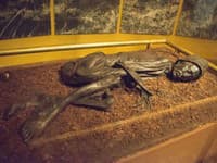 Vedcov už desaťročia máta mumifikovaná mŕtvola muža: Teraz zistili, čo ako posledné jedol pred smrťou