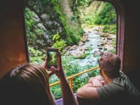 Manželia cestovali vlakom, keď ich ohromil pohľad z okna: VIDEO má dokazovať existenciu záhadného tvora