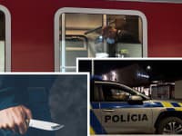 Detaily desivého útoku vo vlaku: Útočník si vraj nič nepamätá! Nemocnica prehovorila o stave študentky