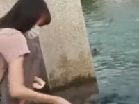 Žena kŕmila korytnačky, zaútočilo na ňu tajomné zviera: Pozrite, čo sa vynorilo z vody!