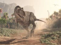 Vedci zistili, čo zožral mladý Tyrannosaurus rex tesne pred smrťou: Z tohto sa dvíha žalúdok