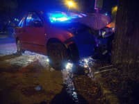 Ťažká dopravná nehoda v Ružinove: Auto vletelo priamo do stromu! Vodič zomrel na mieste