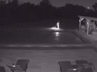 Bezpečnostná kamera zachytila totálnu hrôzu: Muž večer venčil psa, pozrite, čo sa stalo