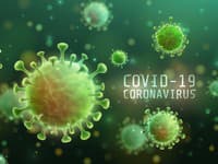 Český minister odporúča očkovanie: Riziko nakazenia sa koronavírusom je vysoké