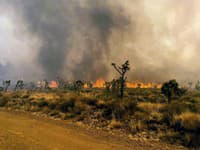 Bogota zatvára parky kvôli zúriacim lesným požiarom: Vyhlásený je stav prírodnej katastrofy