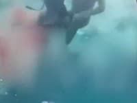 Hrôzostrašný moment: VIDEO Krvilačná beštia napadla 10-ročného chlapca v letovisku pri plávaní!