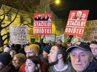 Slováci v Bruseli, v Česku i europoslanci podporili protivládne protesty na Slovensku