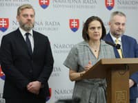 SaS vyzýva Maroša Žilinku, aby zverejnil pripomienky k novele Trestného zákona