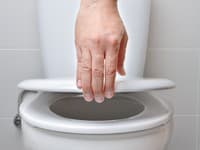Zatvárať veko na toalete pri splachovaní alebo nie? Vedci konečne poznajú odpoveď: TOTO je najbezpečnejšie