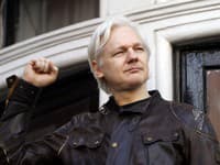 Zakladateľ WikiLeaks sa pre nevoľnosť nezúčastnil na kľúčovom pojednávaní o vydaní do USA