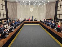 Vláda sa bude zaoberať okresmi Michalovce a Sobrance aj investičnou pomocou