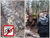 ŠOKUJÚCE objavy v lesoch na strednom Slovensku: Ochranári zverejnili drsné zábery, z ktorých mrazí