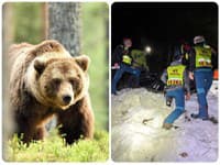 AKTUÁLNE Podľa Tarabu bol na mieste nálezu 200-kilový medveď s krvavou papuľou: Udalosť označil za zbytočnú tragédiu!