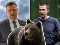Medvede vzbudzujú vášne! Podľa ochranárov šíria politici strach a paniku: Zverejnili čas a miesto odchytu