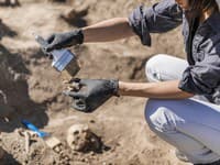 Ohromujúci objav na Ukrajine: Archeológovia odhalili pôvod starovekých nástrojov, neuveríte, čo naznačujú!