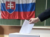 Prezidentské voľby: Českí politici očakávajú vyhrotenú kampaň, Korčok musí byť pripravený na podpásovky
