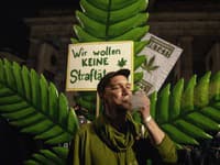 V Nemecku vstúpila do platnosti čiastočná legalizácia marihuany