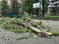 Búrky, blesky, krúpy ako loptičky a teraz aj záplavy: Počasie v Európe sa úplne zbláznilo, Slovensko zasiahol vietor