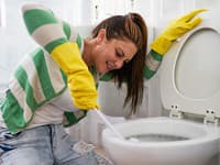 Odborníčka na hygienu varuje pred nechutnou chybou pri umývaní toalety: Toto určite robíte aj vy!
