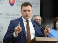 Audit zistil v prípade dotácie pre firmu exministra Samuela Vlčana päť nedostatkov, tvrdí Taraba
