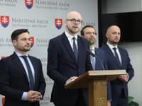PS, KDH a hnutie Slovensko zbierajú podpisy na odvolanie ministerky zdravotníctva: Dolinková reaguje