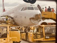 Let do Viedne sa takmer skončil katastrofou: MAYDAY! FOTO Airbus zdemolovali krúpy, Pilot pristával naslepo