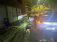 Mladý vodič z Ukrajiny jazdil pod vplyvom drog: Napadol aj policajta!