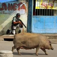 Prasa prechádza ulicou, zatiaľ čo štátny ozbrojený agent s puškou zaisťuje vstup do chudobnej štvrti v brazílskom Riu de Janeiru.