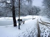 BRATISLAVA - Zima je skutočne v plnom prúde! Napriek tomu, že do hlavného mesta snehová nádielka ešte nedorazila, len pár kilometrov od Bratislavy sa môžete kochať ligotajúcou sa nádherou. Podobne je na tom aj Orava, ktorá sa tiež zahalila do bielej periny. Predpoveď vyšla, Slovensko je biele: Zábery šantenia Perinbaby, očarujúce VIDEO zo Zochovej chaty