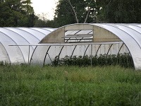 Farma v Uelzene