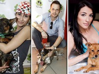 Známe tváre so svojimi štvornohými miláčikmi. Zľava speváčka Zdenka Predná, moderátor Martin Pyco Rausch, moderátorka Lucia Hablovičová. Známe tváre so svojimi štvornohými miláčikmi. Zľava speváčka Zdenka Predná, moderátor Martin Pyco Rausch, moderátorka Lucia Hablovičová.