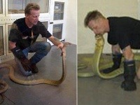 Luke Yeomans tvrdil, že z hadov strach nemá