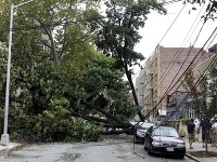 V New Yorku popadali tisíce stromov