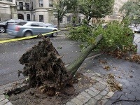 V New Yorku popadali tisíce stromov