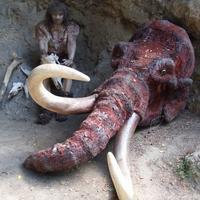 Pred jaskyňou je aj mamutia hlava.