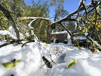 Počet mŕtvych po víkendovej snehovej búrke v USA stúpol na 21.